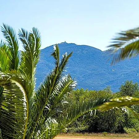 Antinea Argelès-sur-Mer