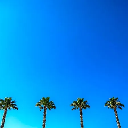 Antinea أرجيليه- سور- مير