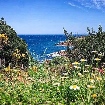 Antinea Argelès-sur-Mer